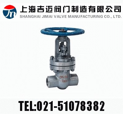 Z61HZ61YZ61W  PN100~PN160 в庸Шʽly